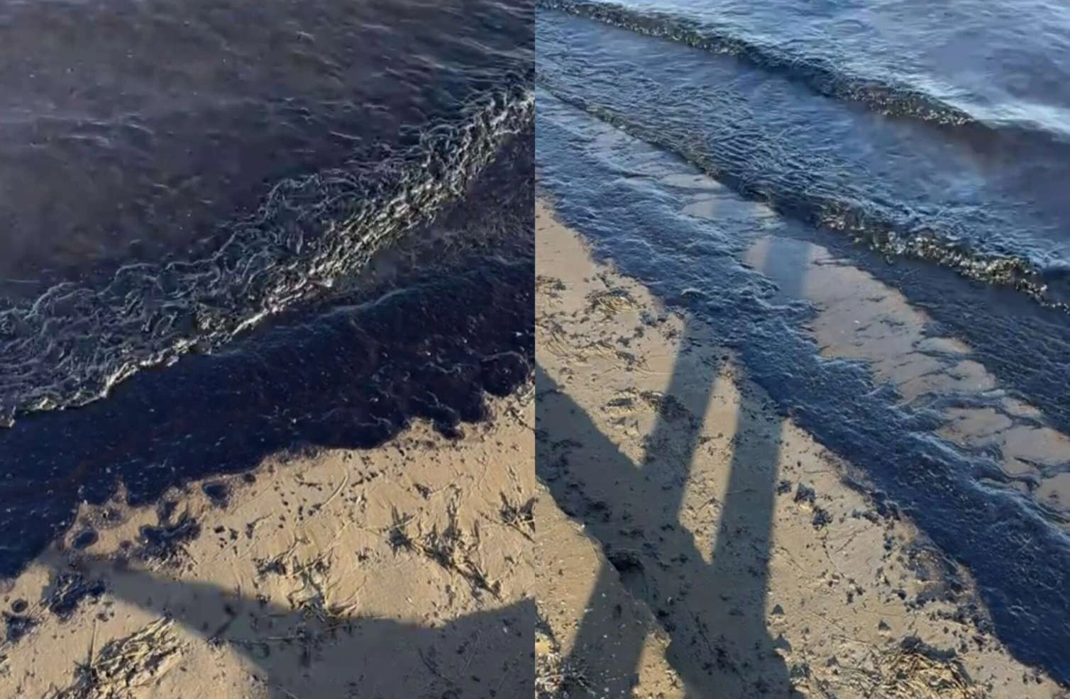 Dübəndidə dəniz sahilinə neft qalıqlarının yığılmasının səbəbi -