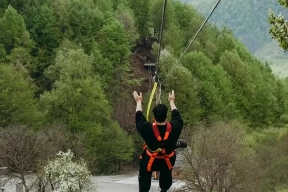 “Şəki yaylası” faciəsində yeni fakt: Əsl səbəb üzə çıxdı - Foto