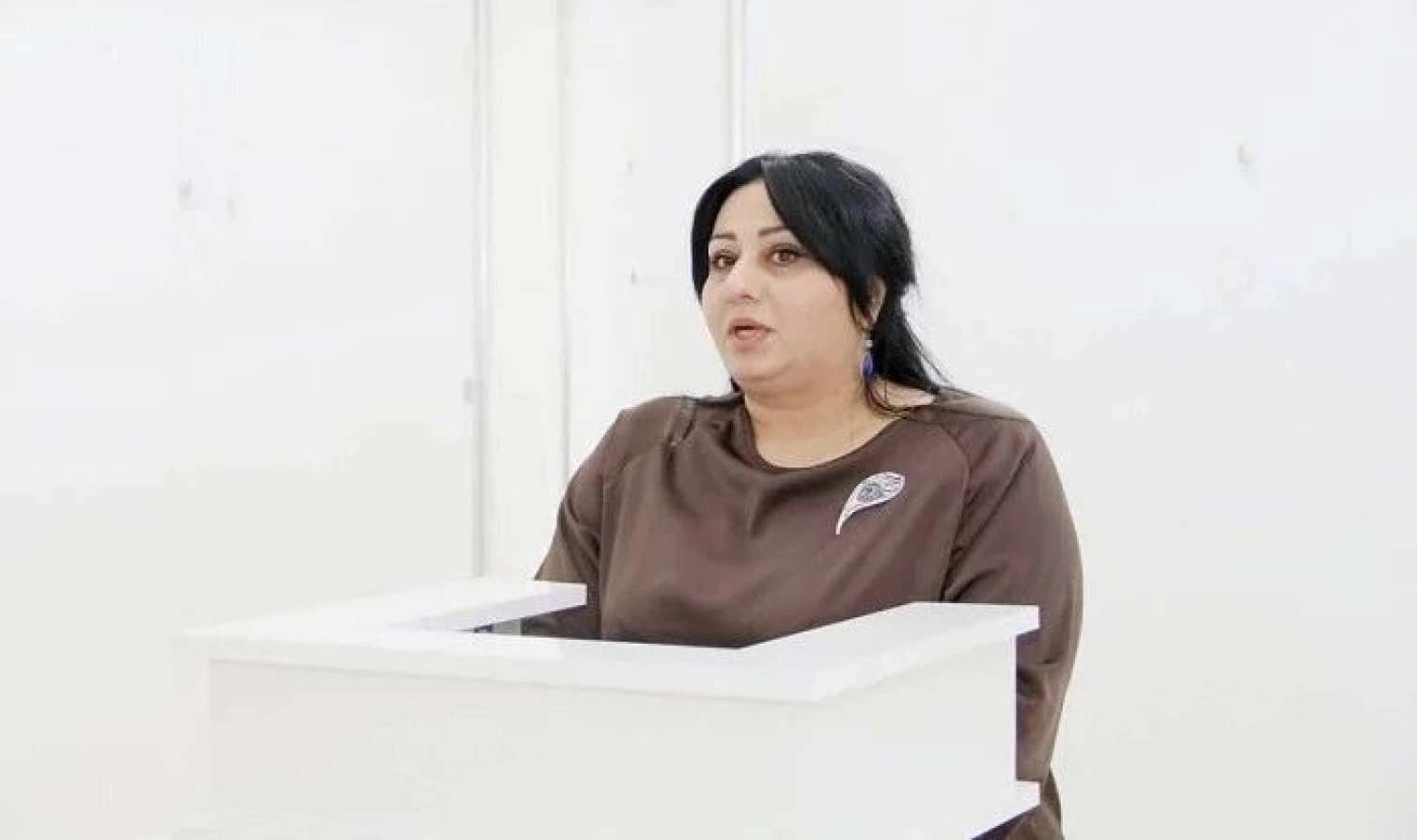 Xanım deputatımızın bu çıxışı tənqid edildi