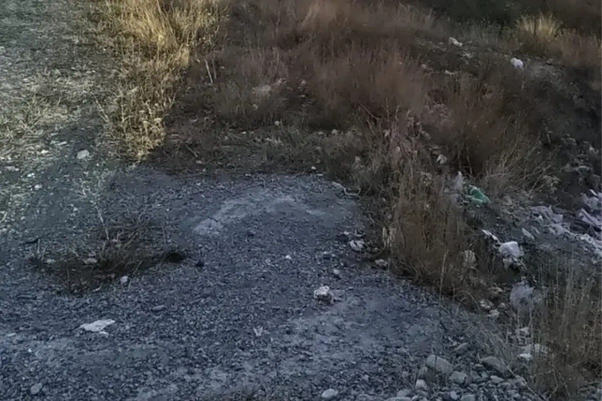 Şamaxıda yol kənarı zibilliyə çevrilib - FOTOLAR