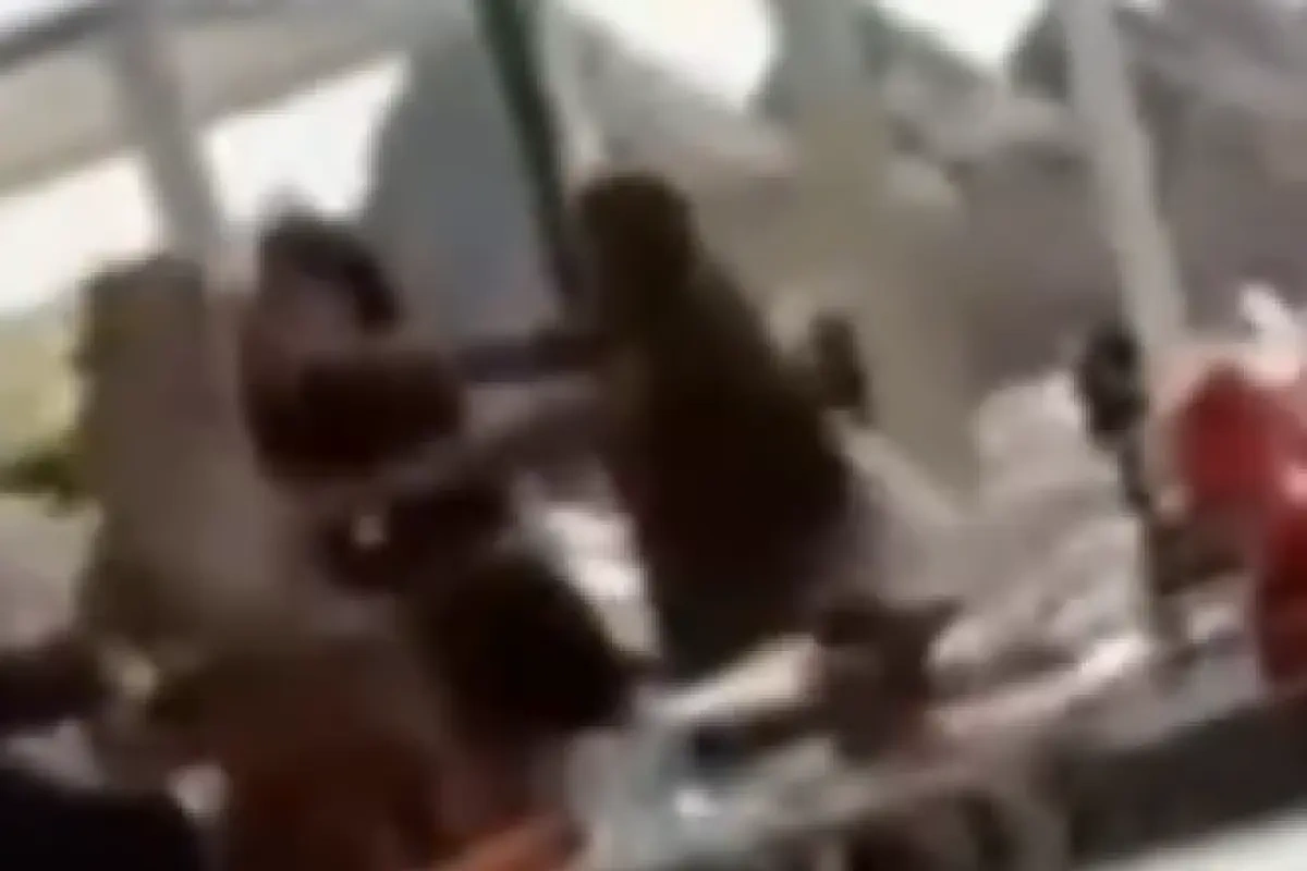 Bakıda restoranda bloqerlər saçyolduya çıxdı - VİDEO