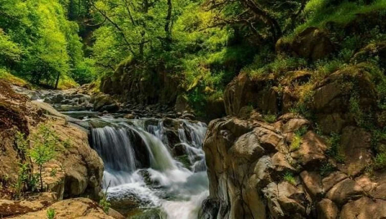 Hirkan Milli Parkında şəlalədə çimərkən batdı