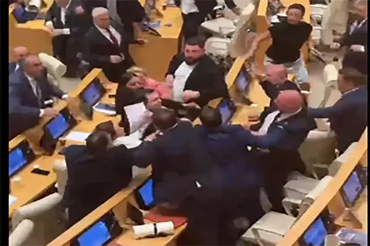 Gürcüstanda parlamentin iclasında dava düşdü – VİDEO