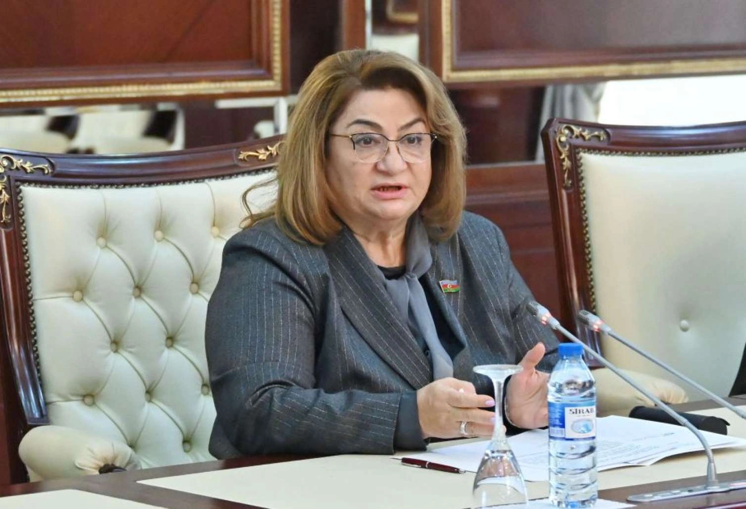 Ana və uşaq ölümü artıb -
