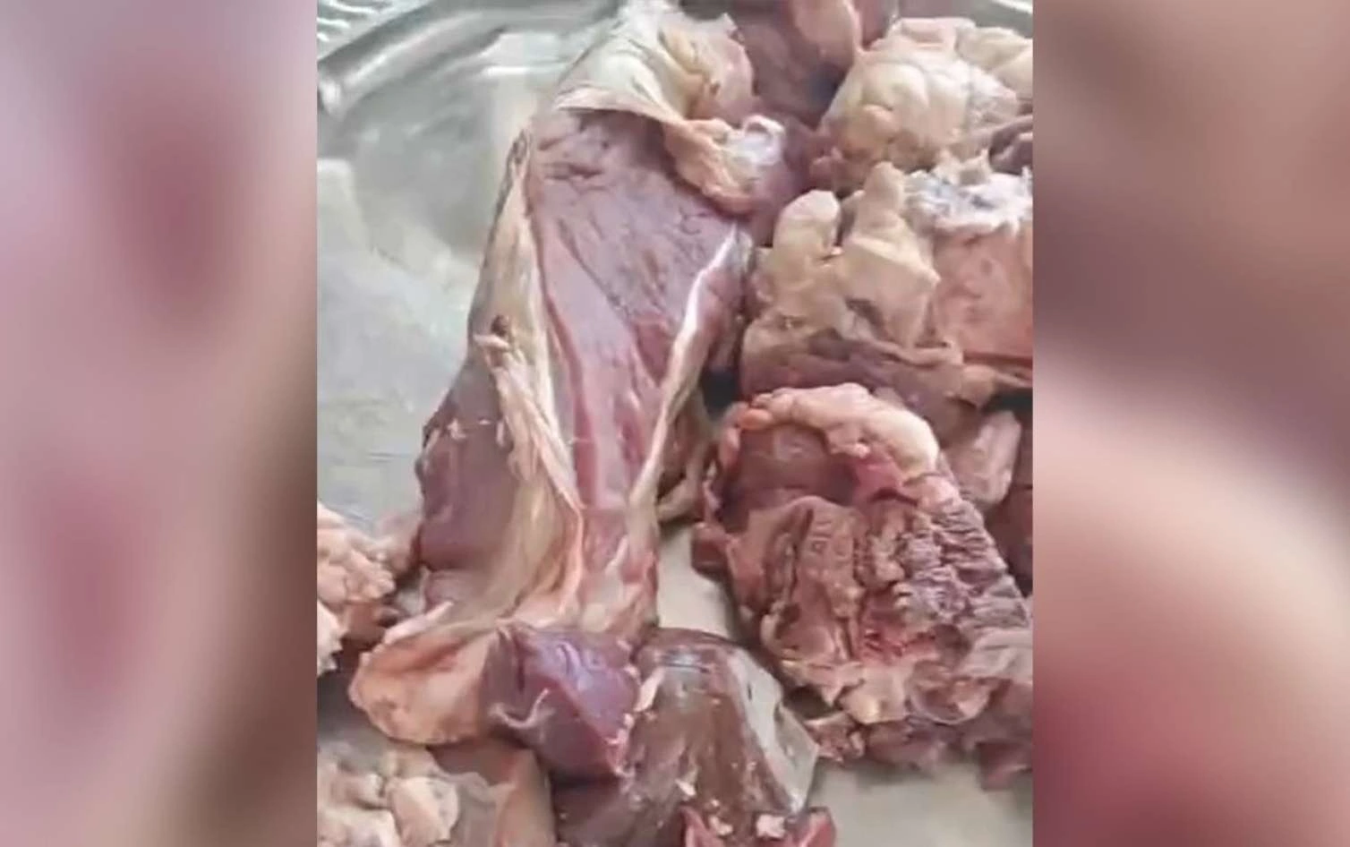 İcra Hakimiyyətinin göndərdiyi qurban əti köhnə olub?