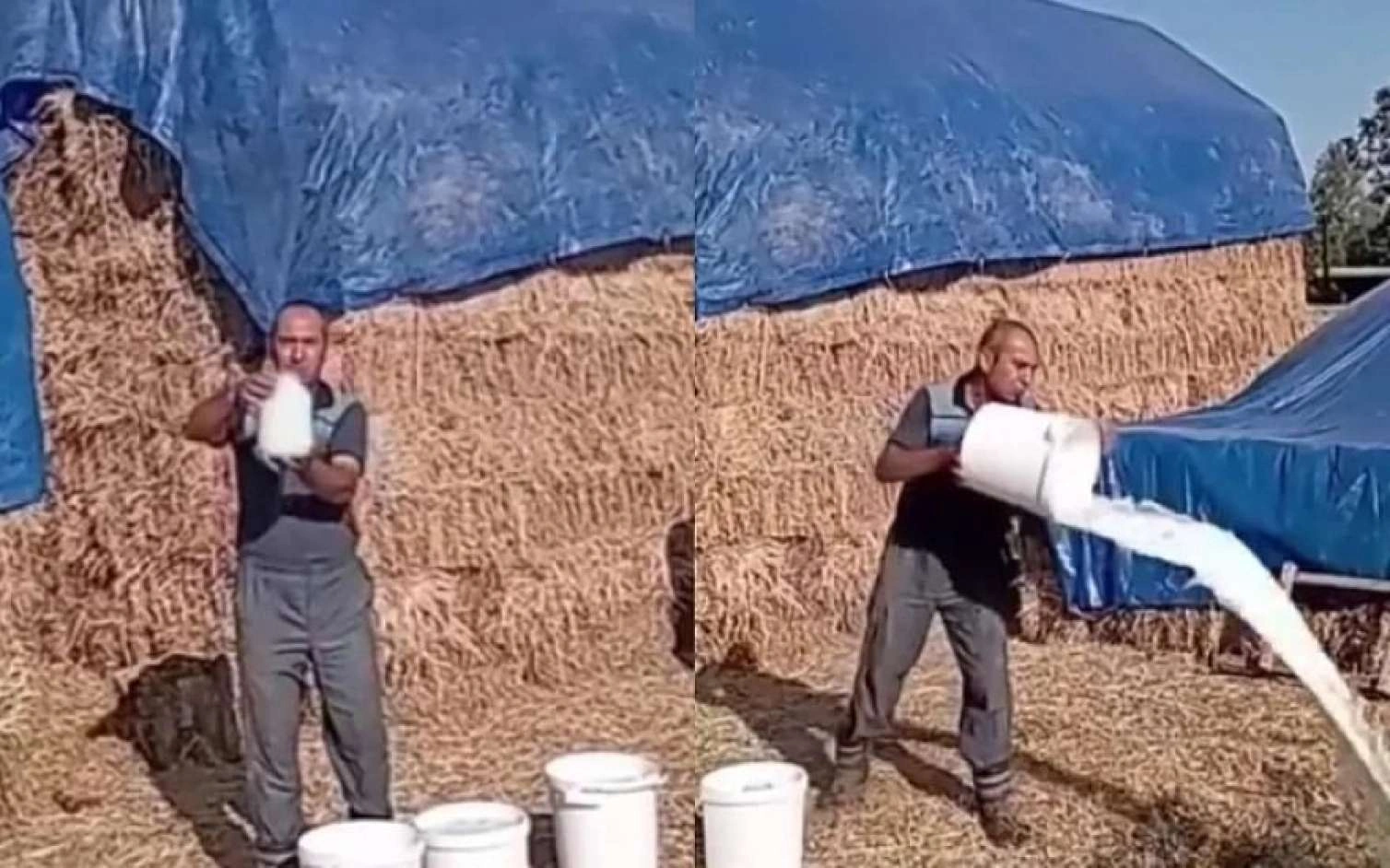 “15 qəpiyə alıb 5 manata satırlar!”