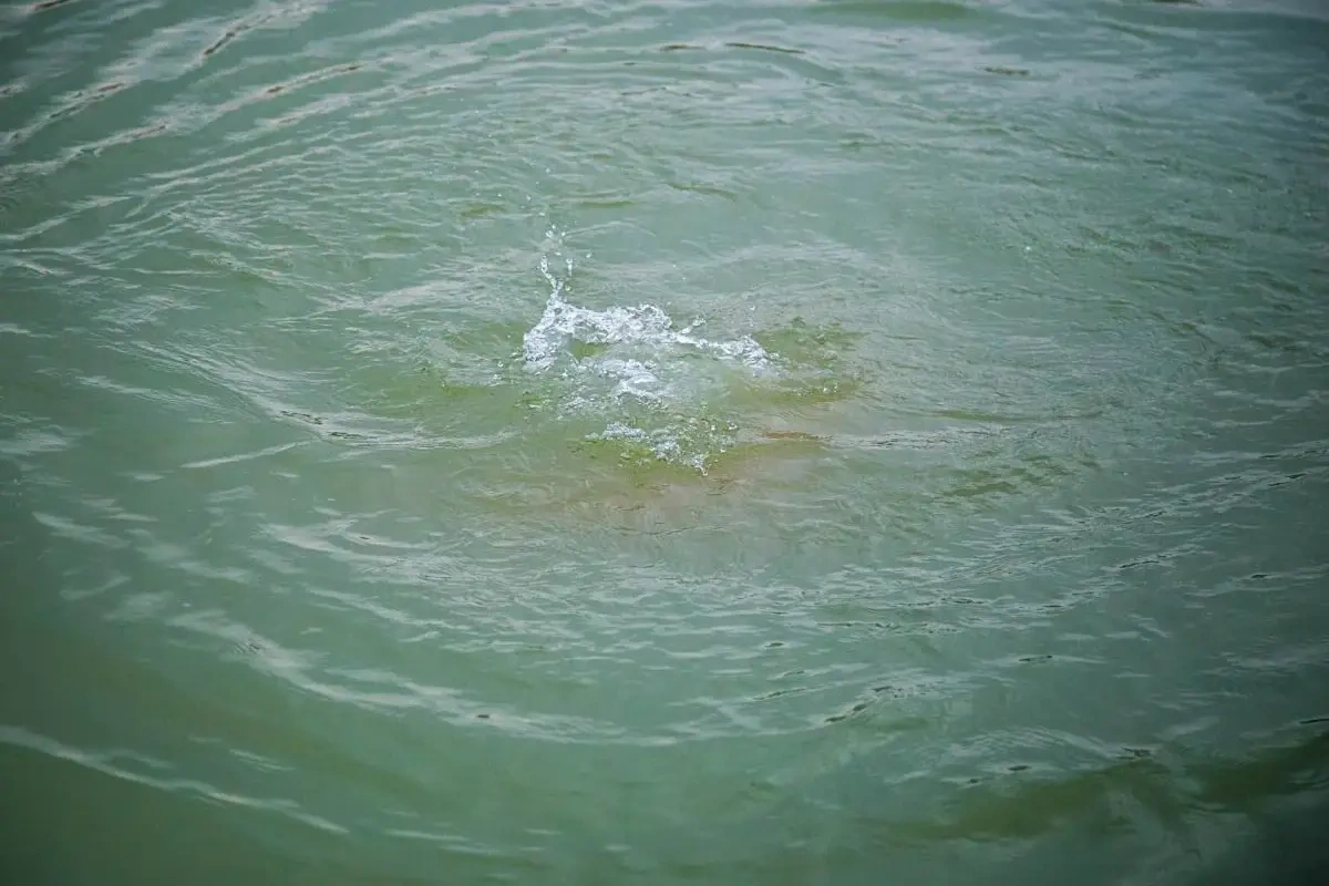Qazaxda ata və qızı göldə batıb
