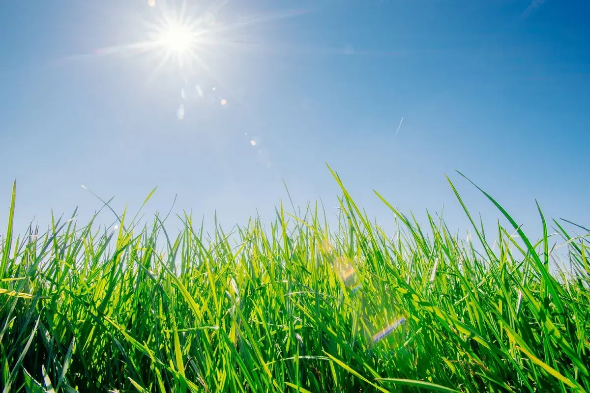 Avqustda orta aylıq temperatur yüksək olacaq