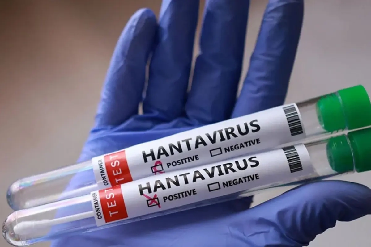 Hantavirus insandan insana nadir halda keçir - Rəsmi