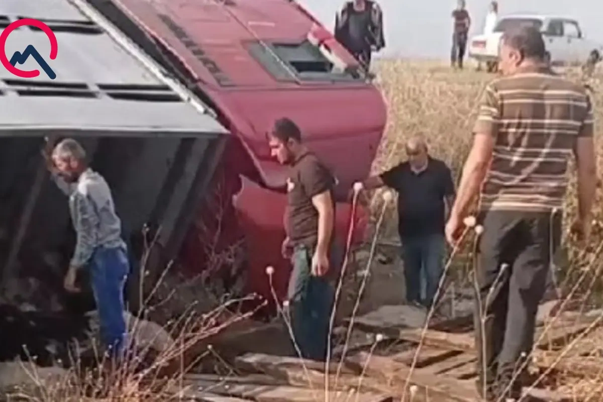 Sürücü yuxulayıb maşını aşırdı - Heyvanlar tələf oldu