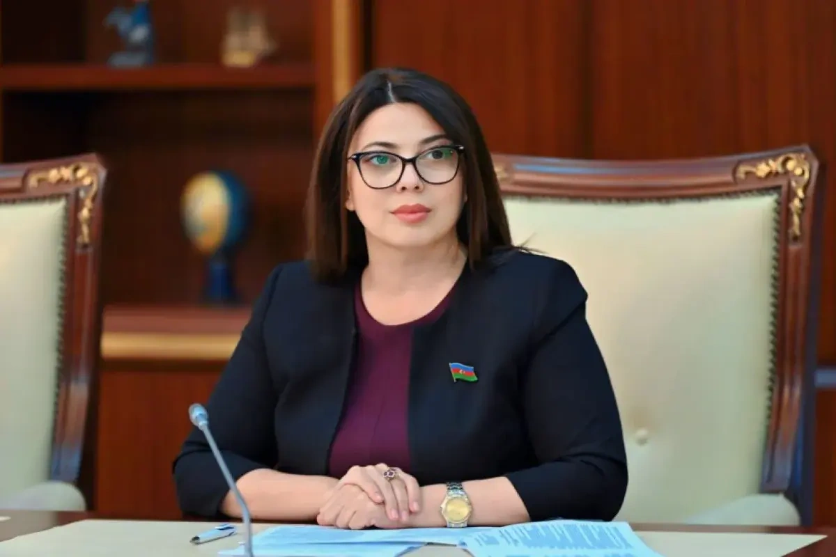 Xanım deputata ağır itki