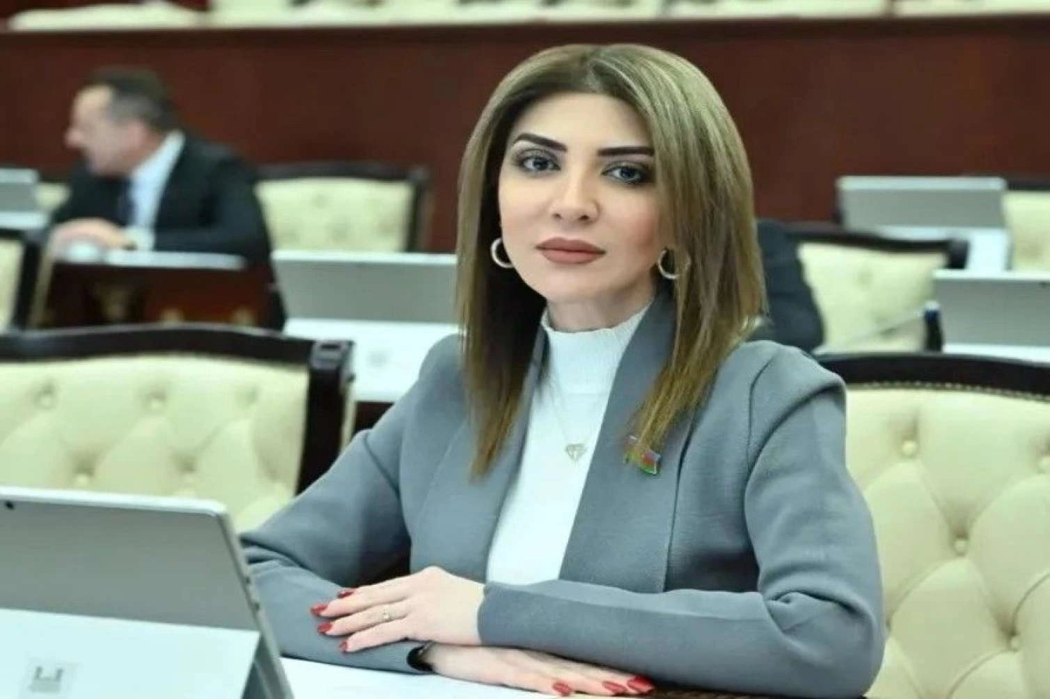 “Uşaqpulu verilsə, kişilər işləməz” – Deputatdan