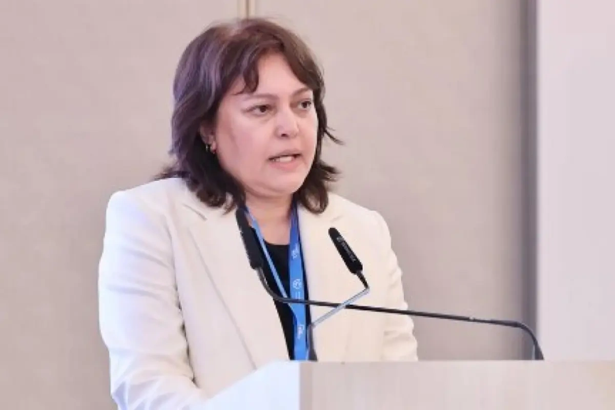 Umayra Tağıyeva: Azərbaycan iqlim riskləri ilə üzləşir