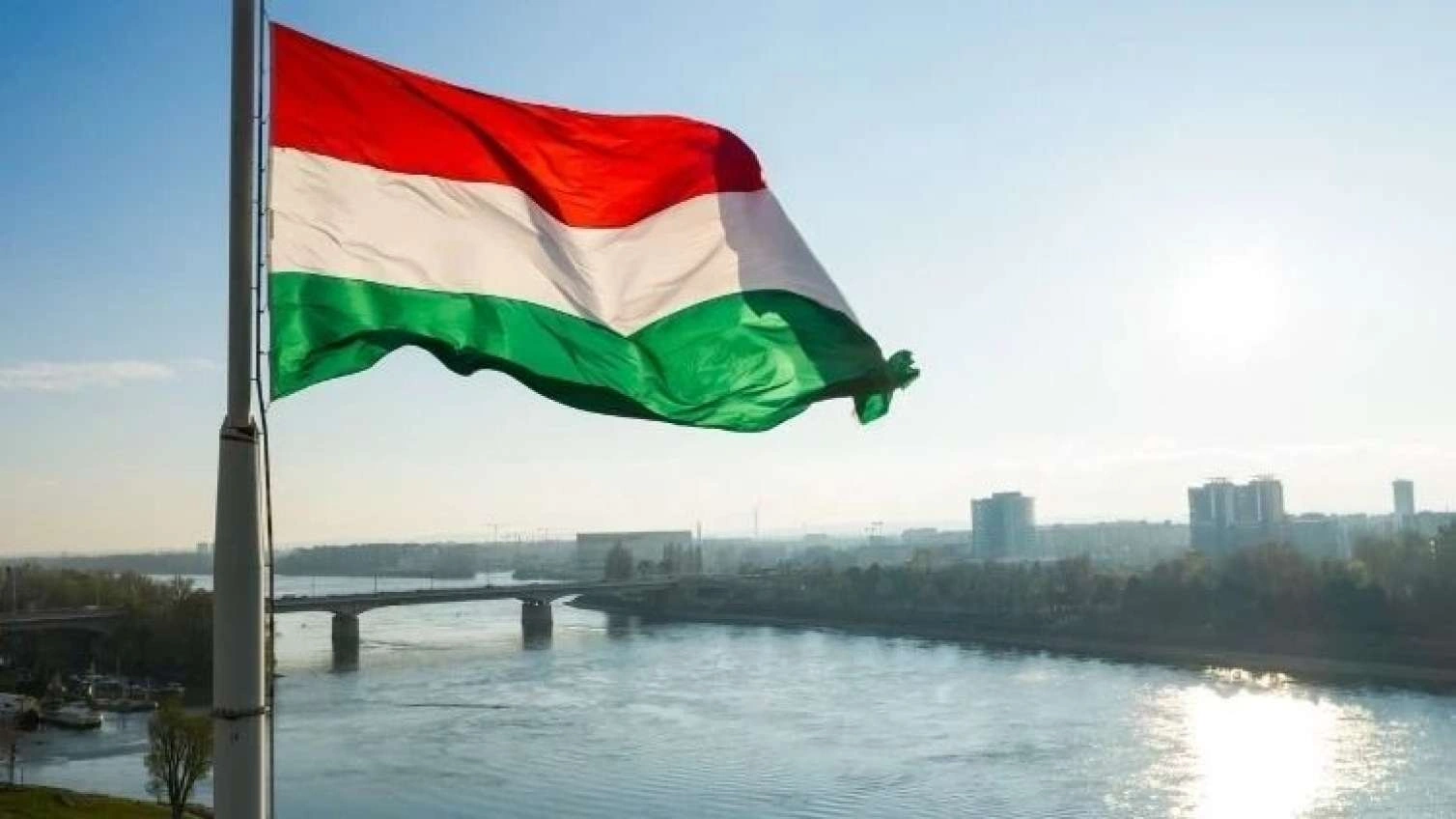 Macarıstanda prezident postuna məşhur şahmatçı gətirilir