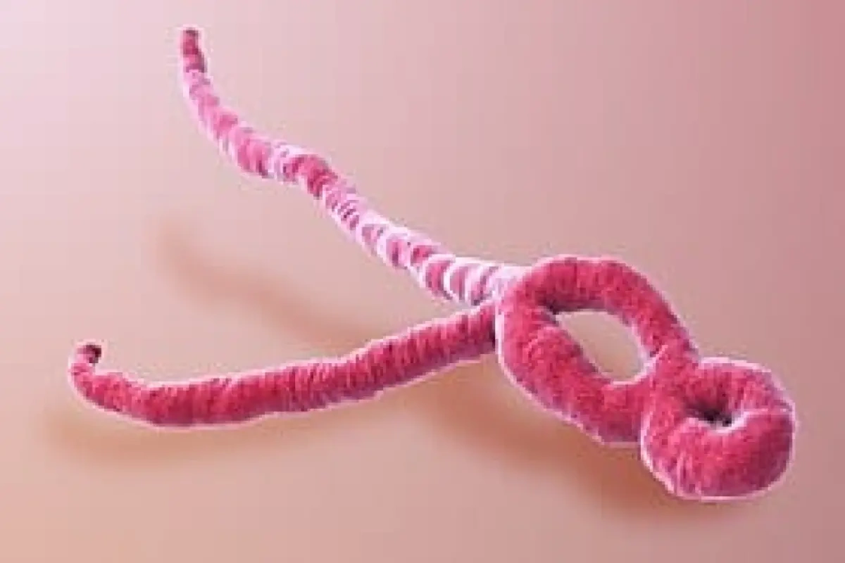 Konqoda "Ebola" virusuna yoluxanların sayı 676-ya çatdı