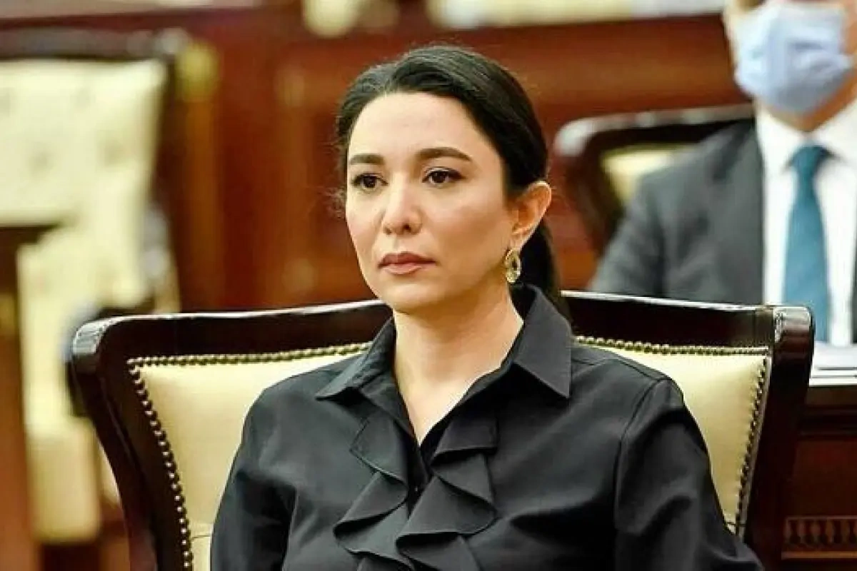 Ombudsmandan beynəlxalq təşkilatlara çağırış