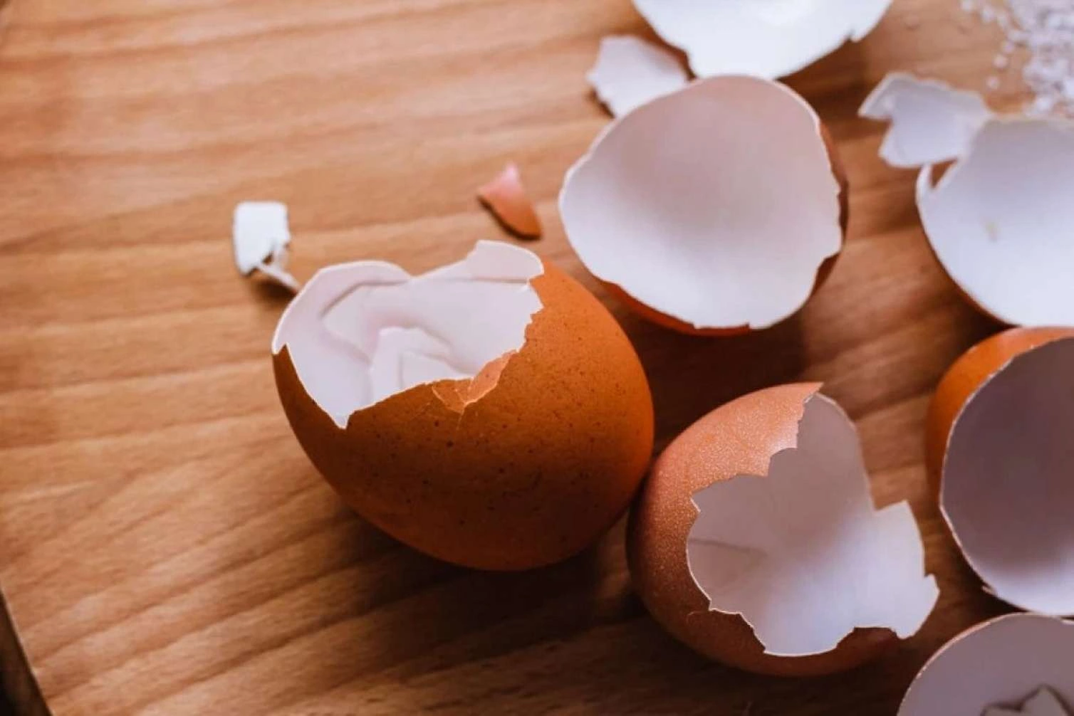 1 qəpiklik yumurtanın içindən görün nə çıxdı -