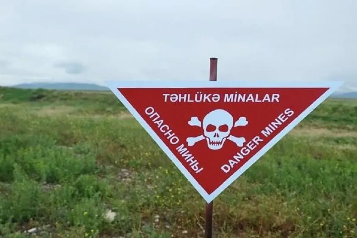 Azad edilmiş ərazilərdə 287 385 ha minadan təmizlənib