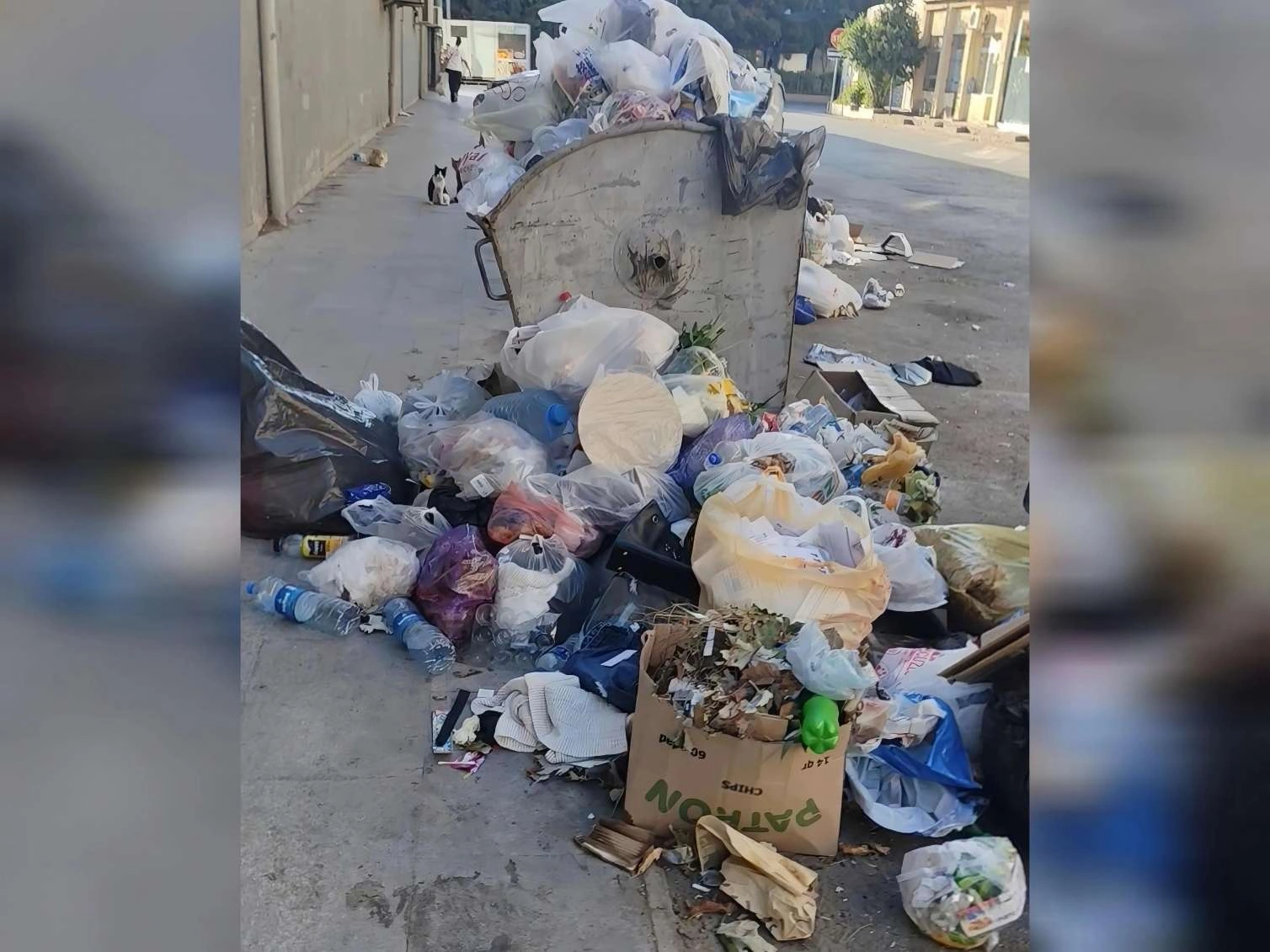 Sumqayıt zibillik içində batır: