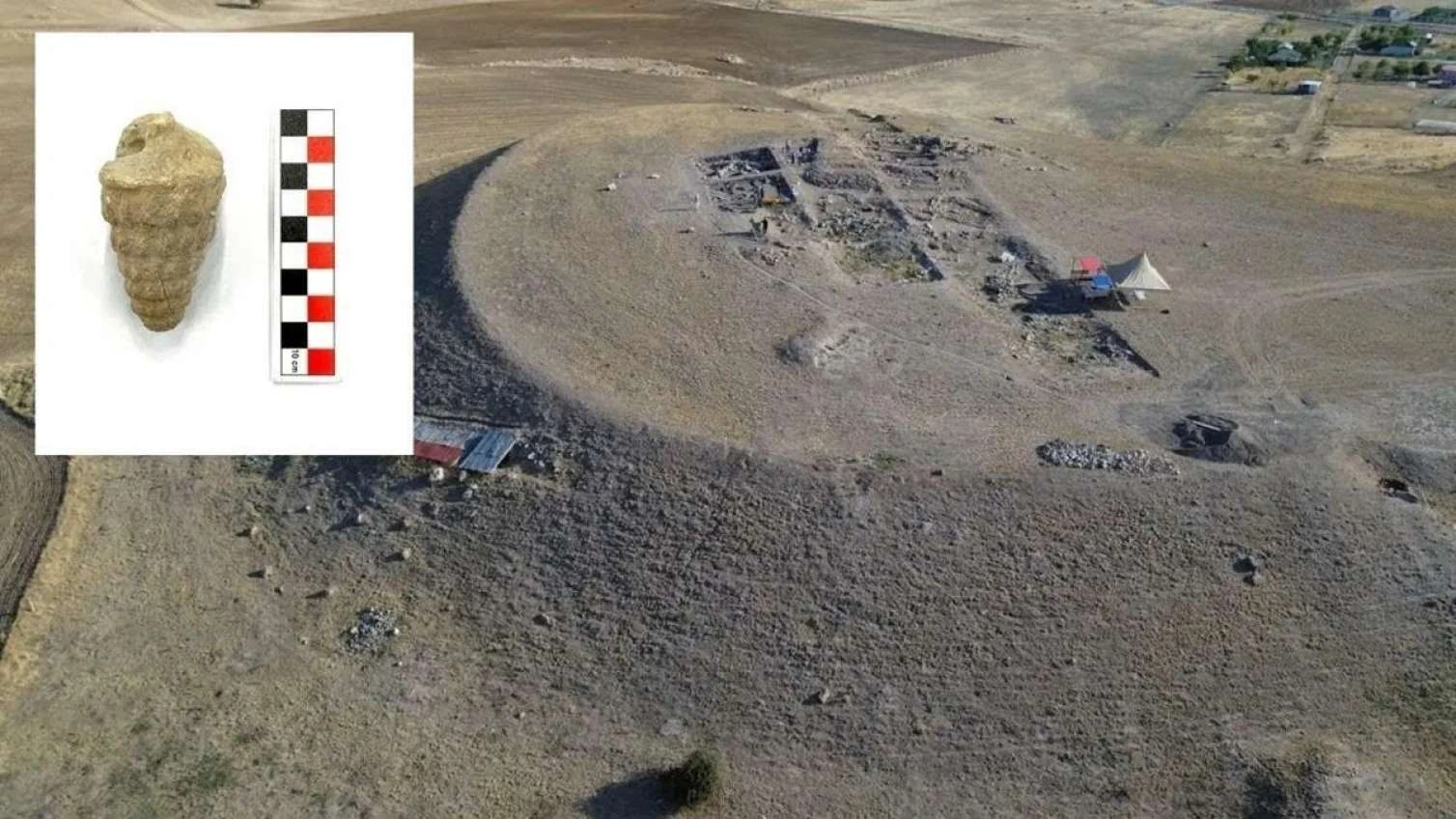 Türkiyədə inanılmaz tapıntı: 66 milyon yaşı var -