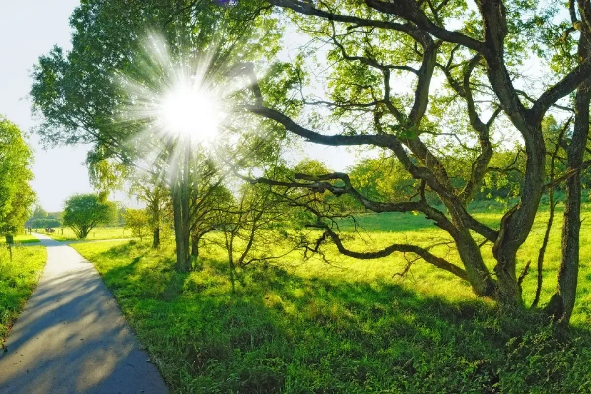 Sabah 39 dərəcə isti olacaq