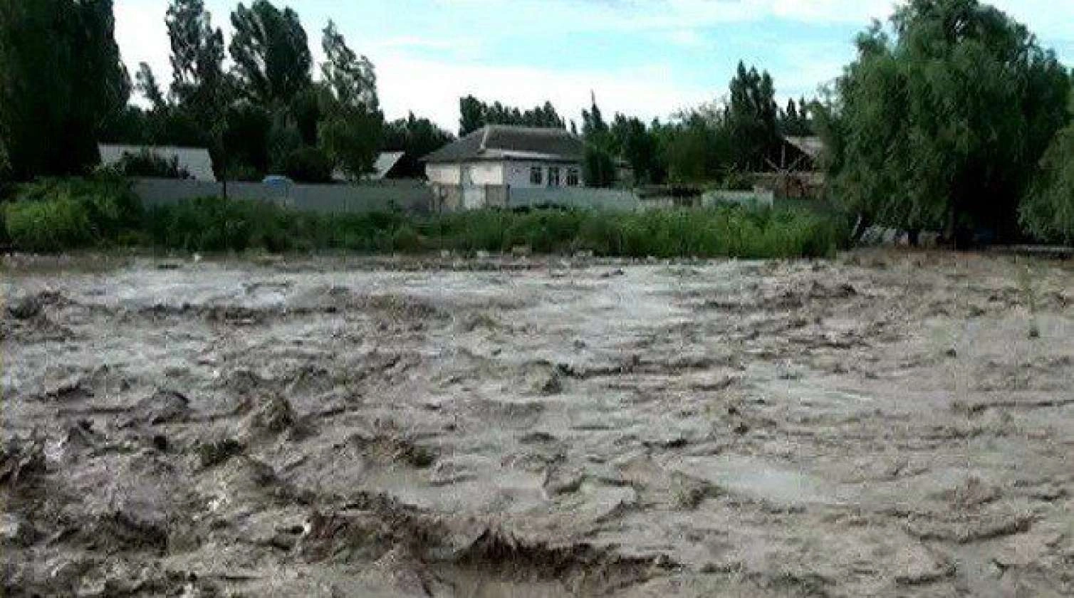 Bayram qonaqlığına gedən ana və oğlunu sel apardı