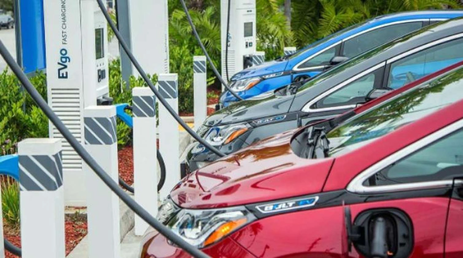 Milyonlarla avtomobil araşdırıldı: Elektriklilər təəccübləndirdi