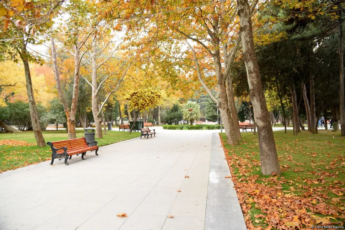Sabahın havası açıqlandı