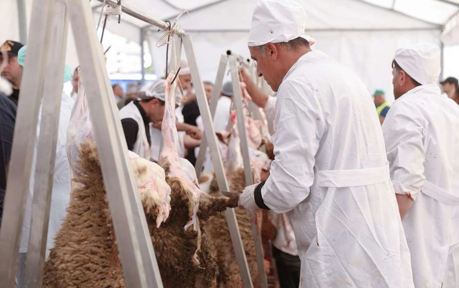 Qurbanlıqları bu ünvanlardan ala bilərsiniz