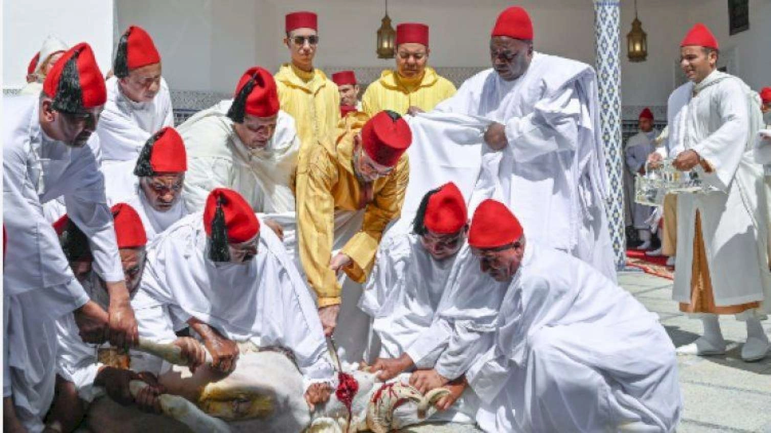 Mərakeş kralı Peyğəmbərsayağı qurban kəsdi