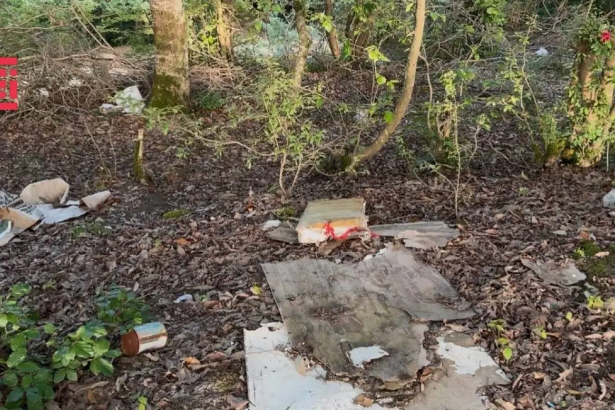 Hirkan Milli Parkı tullantıların əsirinə çevrilib - Foto