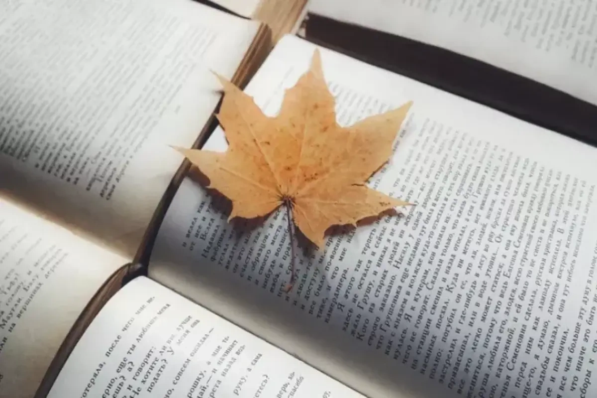 Kitab oxuyarkən buraxdığımız səhv – Alimlər xəbərdarlıq edir
