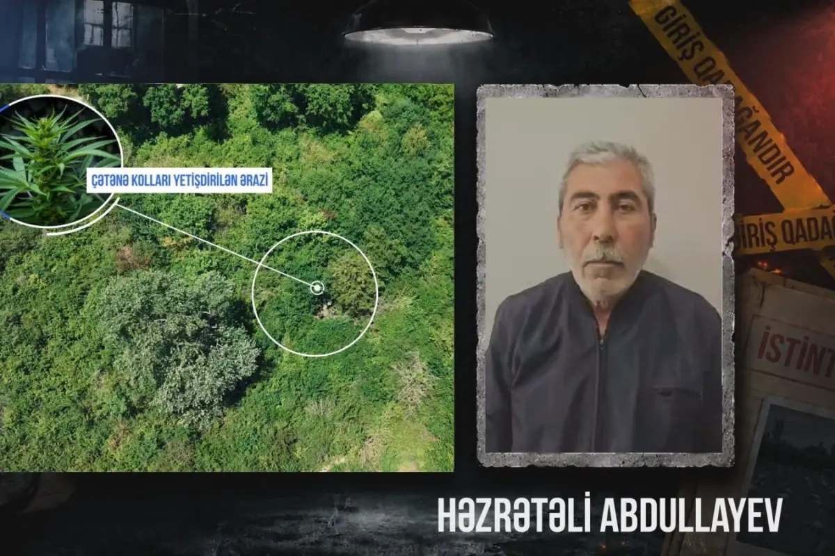 Çay sahilində çətənə kolu yetişdirən şəxs saxlanıldı - VİDEO
