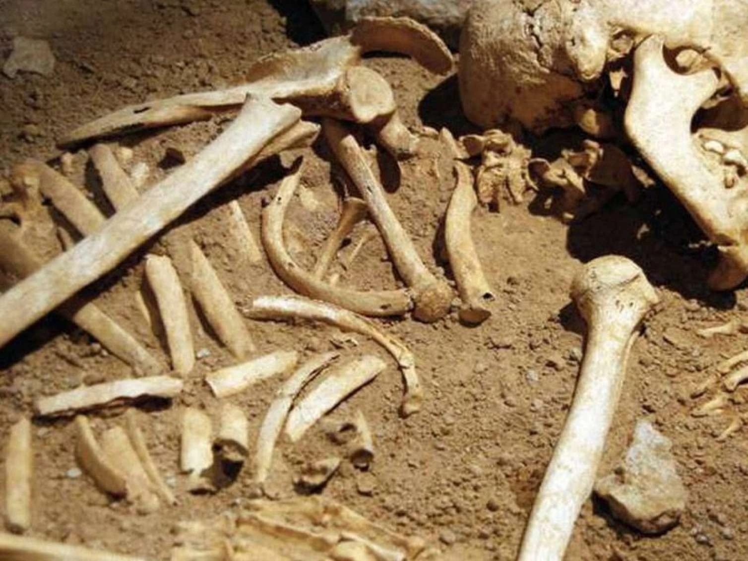 Şuşakənddə insan sümüyünə bənzər qalıqlar tapıldı