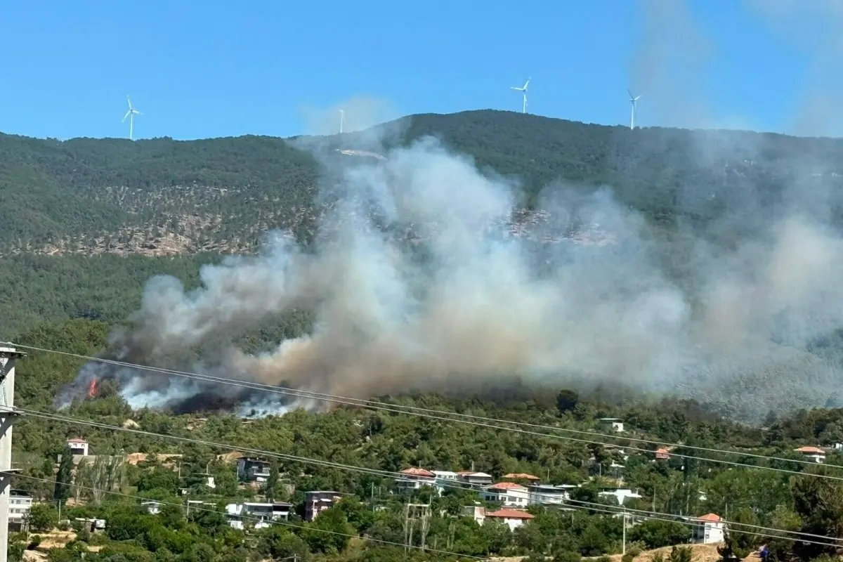 Türkiyədə 2 vilayətdə şiddətli meşə yanğınları davam edir