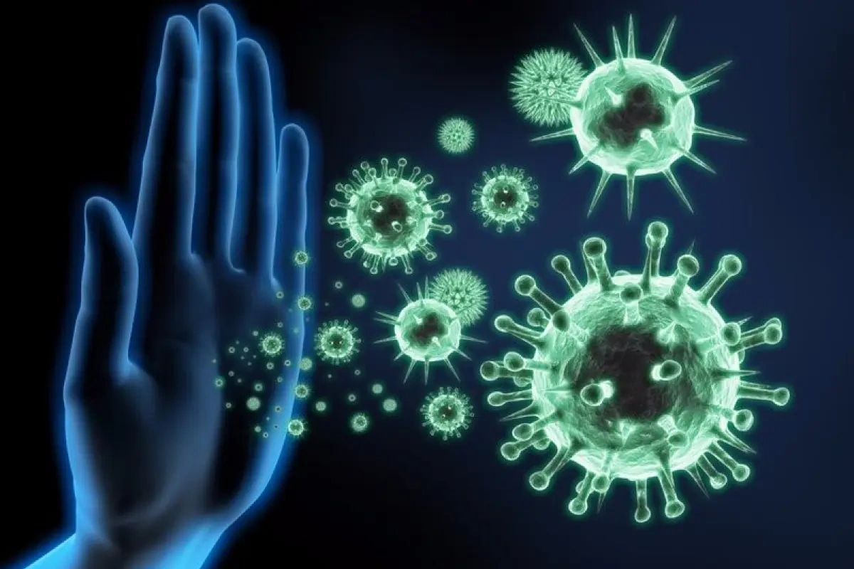 Bu ölkədə dəhşətli virus yayıldı - 65 ölü