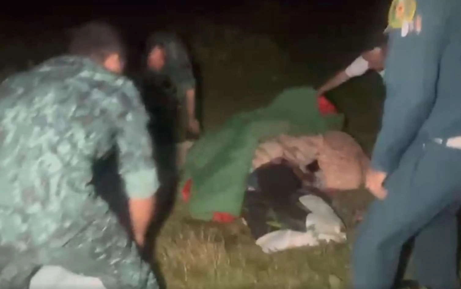 Şəkidə itlər niderlandlı qadını ağır yaraladı
