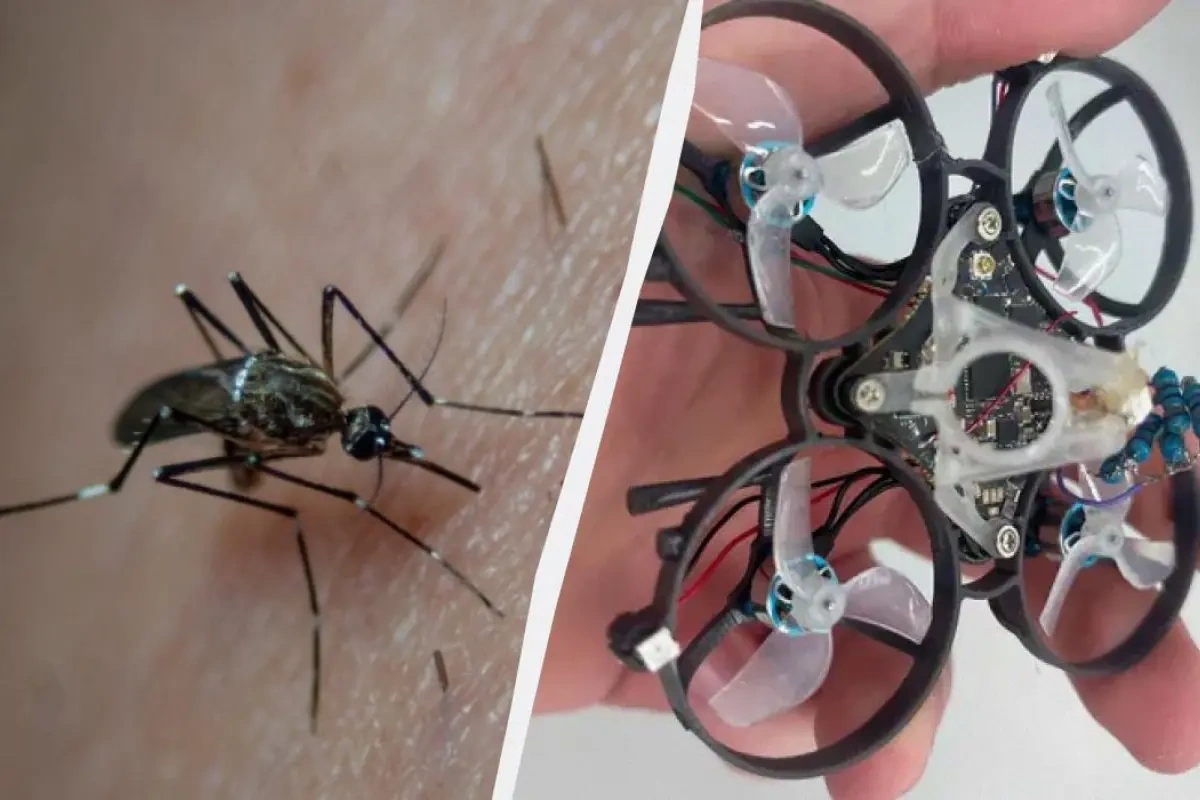 Həşəratlara qarşı "ovçu" dron sınaqdan uğurla keçdi – VİDEO